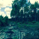 Bryan Edenfield - Instagram Profile Picture of Bryan Edenfield (@bryanedenfield_17) on Instagram