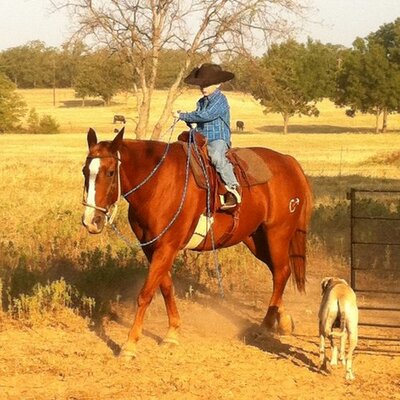 Profile Picture of Lacey Smart (@4smarts) on Twitter