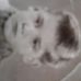 Profile Picture of Jaques Robert (@jaques.robert.18) on Facebook