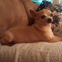 Profile Picture of James Zipperer (@tnyzipperer) on Pinterest