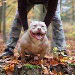 Profile Picture of Kevin Burton (@kevin.burton4400) on Instagram