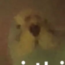 Profile Picture of Just a normal acc :p (@crystal.mina) on Tiktok