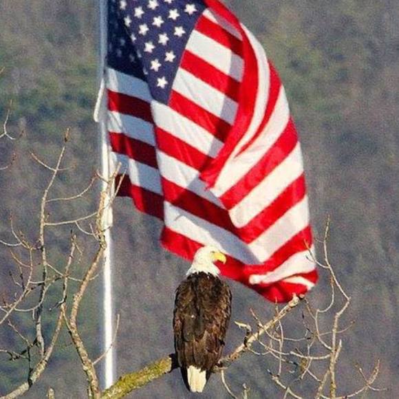 Profile Picture of Edison Santos (@edisonsantos) on Poshmark