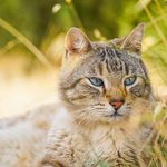 Profile Picture of Harrelson Joseph (@harrelsonjosephp) on Instagram