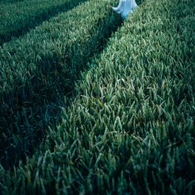 Profile Picture of Forrest Riley  (@forrestriley0981) on Pinterest