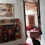 Profile Picture of William Lundeen (@bill.lundeen) on Instagram