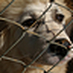 Profile Picture of Josh Swope (@SirCrumpit) on Flickr