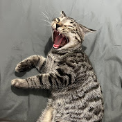 Profile Picture of Adam Dering (@adamderingmusic) on Youtube