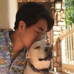 Profile Picture of Peter Chong (@peterchong_) on Instagram