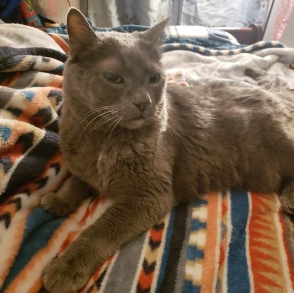 Profile Picture of Evette Chavez (@cceliaevette) on Poshmark