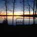 Profile Picture of Mary Aarestad (@maryaarestad) on Pinterest