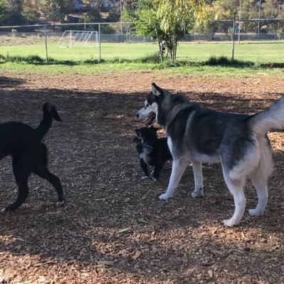 Profile Picture of Mk (@Mark_KassT) on Twitter