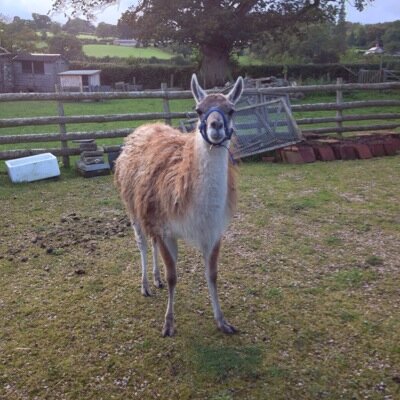 Profile Picture of Geoffrey Owen Hughes (@humptydumpty7) on Twitter