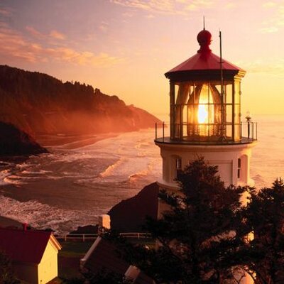 Profile Picture of Anna Kavanaugh CFNDN (@AnnaKavanaughCF) on Twitter