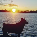 Profile Picture of Mike Sipes (@mike.sipes.754) on Instagram