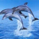 Asmae Alaoui - Instagram Profile Picture of Asmae Alaoui (@alaoui_asmae) on Instagram