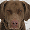 Profile Picture of Steve T. Deal (@deadeyedeal) on Flickr