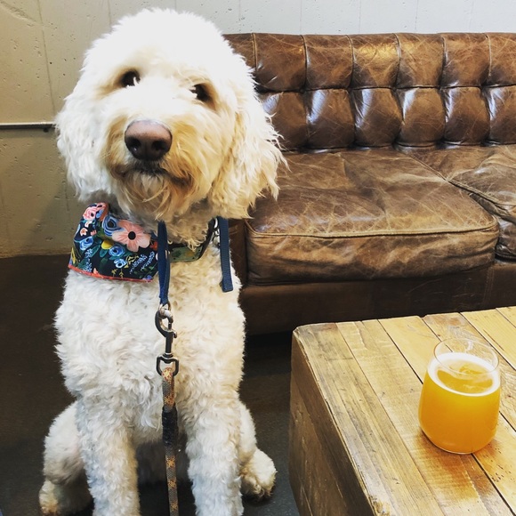 Profile Picture of Sarah Kuderer (@s_kuda) on Poshmark