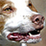 Benjamin Hunt - Flickr Profile Picture of Benjamin Hunt (@benjaminmh) on Flickr