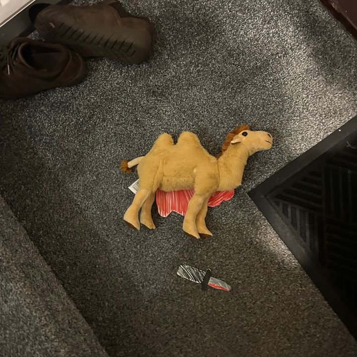 Profile Picture of Robert Blyth (@robert.blyth) on Tiktok