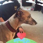 Profile Picture of David Emmett (@david.emmett.148) on Instagram