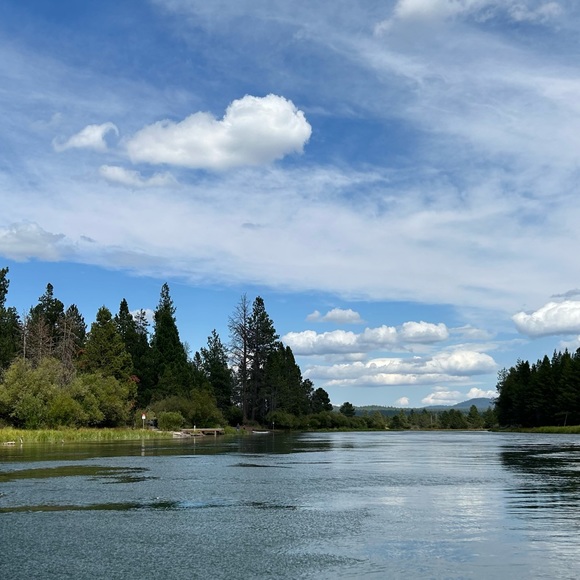 Kelli Brigance - Poshmark Profile Picture of Kelli Brigance (@briga5) on Poshmark