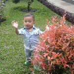 Profile Picture of david_pique (@anisawulan45) on Instagram