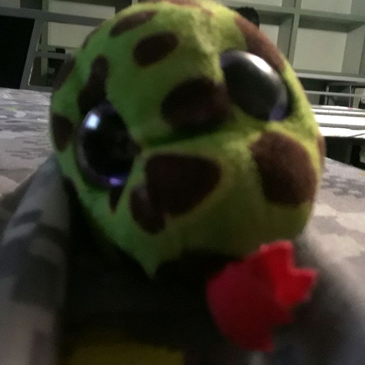 Profile Picture of forrest Innes (@snake30tiktok) on Tiktok