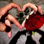 Profile Picture of Meredith Chacón (@m.e.r.e.di.th) on Instagram