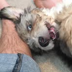 Profile Picture of Michael Volmer (@michael.volmer.1447) on Facebook