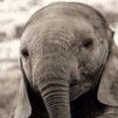 Profile Picture of Jeff Busbee (@busbee68) on Twitter
