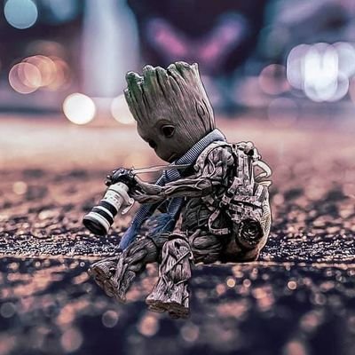 Profile Picture of Robert Havican (@HavicanRobert) on Twitter