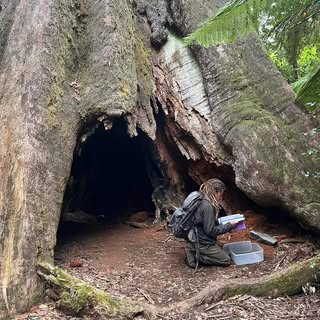 Profile Picture of Kévin Piette (@piette.kevin) on Instagram