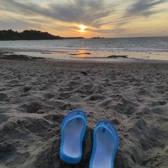 Profile Picture of Delphine Caron (@delphinecaron) on Tiktok