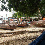 Profile Picture of Hassan masoud (@hassan_busra) on Instagram