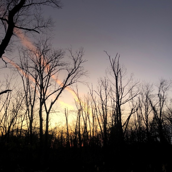 Profile Picture of Alexandra Bogdanova (@lexaaa267) on Poshmark