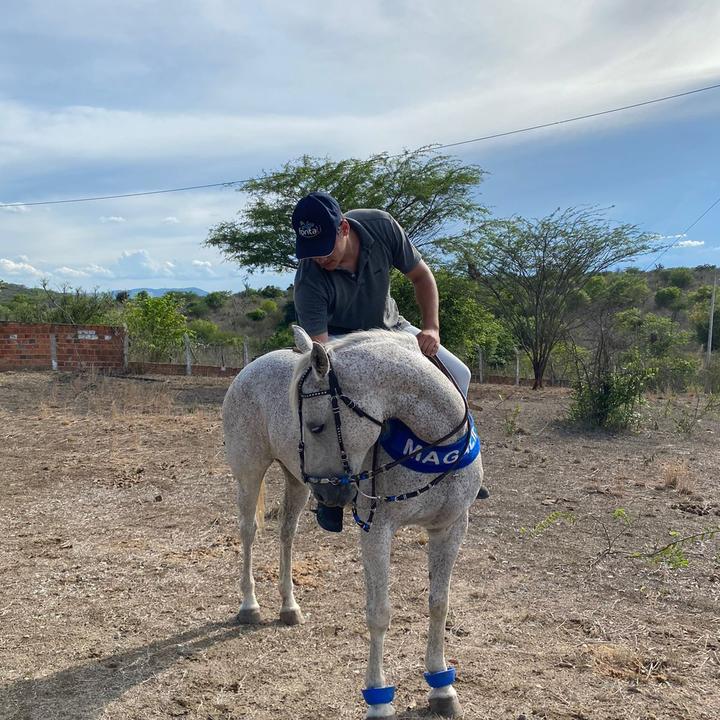 Profile Picture of William Ribeiro (@williamribeiro405) on Tiktok