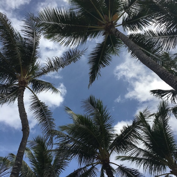 Profile Picture of Carlene Konrath (@carkonrath) on Poshmark