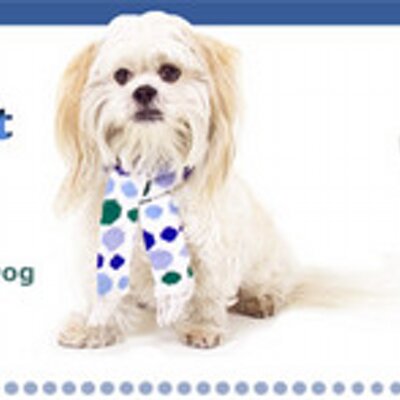 Profile Picture of Kelly Preston (@KellynMrMaGoo) on Twitter