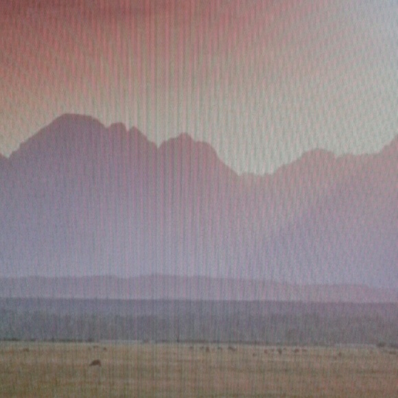 Profile Picture of Danet Garza (@danetgarza) on Poshmark