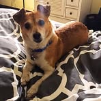 Profile Picture of Zackary Jacob Shanken (@katie.s.work) on Facebook