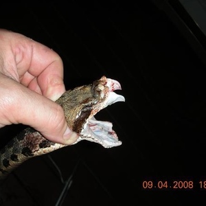 Profile Picture of Barry Knerr (@261666827) on Myspace