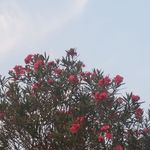 Profile Picture of Cornelius U Maria Funk (@corneliusumaria) on Instagram