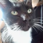 Profile Picture of Thibaudeau Flora (@Thibaudeau-Flora) on Facebook