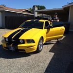 Profile Picture of Jason Nellis (@jasonnellie) on Instagram