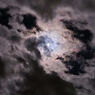 Profile Picture of buddy_cobb (@buddy_cobb) on Instagram