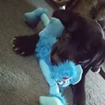 Darcy J. Leach - Instagram Profile Picture of Darcy J. Leach (@leachdarcy) on Instagram