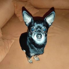 Profile Picture of michaelrbeck (@michaelrbeck) on Tiktok