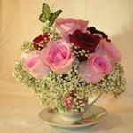 Profile Picture of parisa (@parisa_alizadeh90) on Instagram