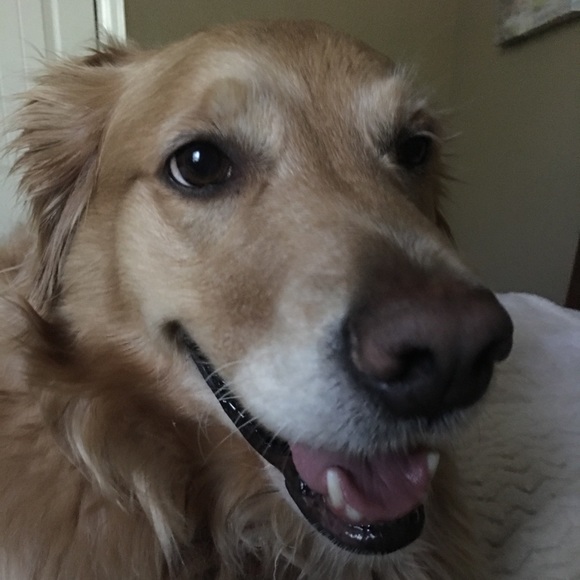 Profile Picture of Tracey Mullins (@smullins43) on Poshmark